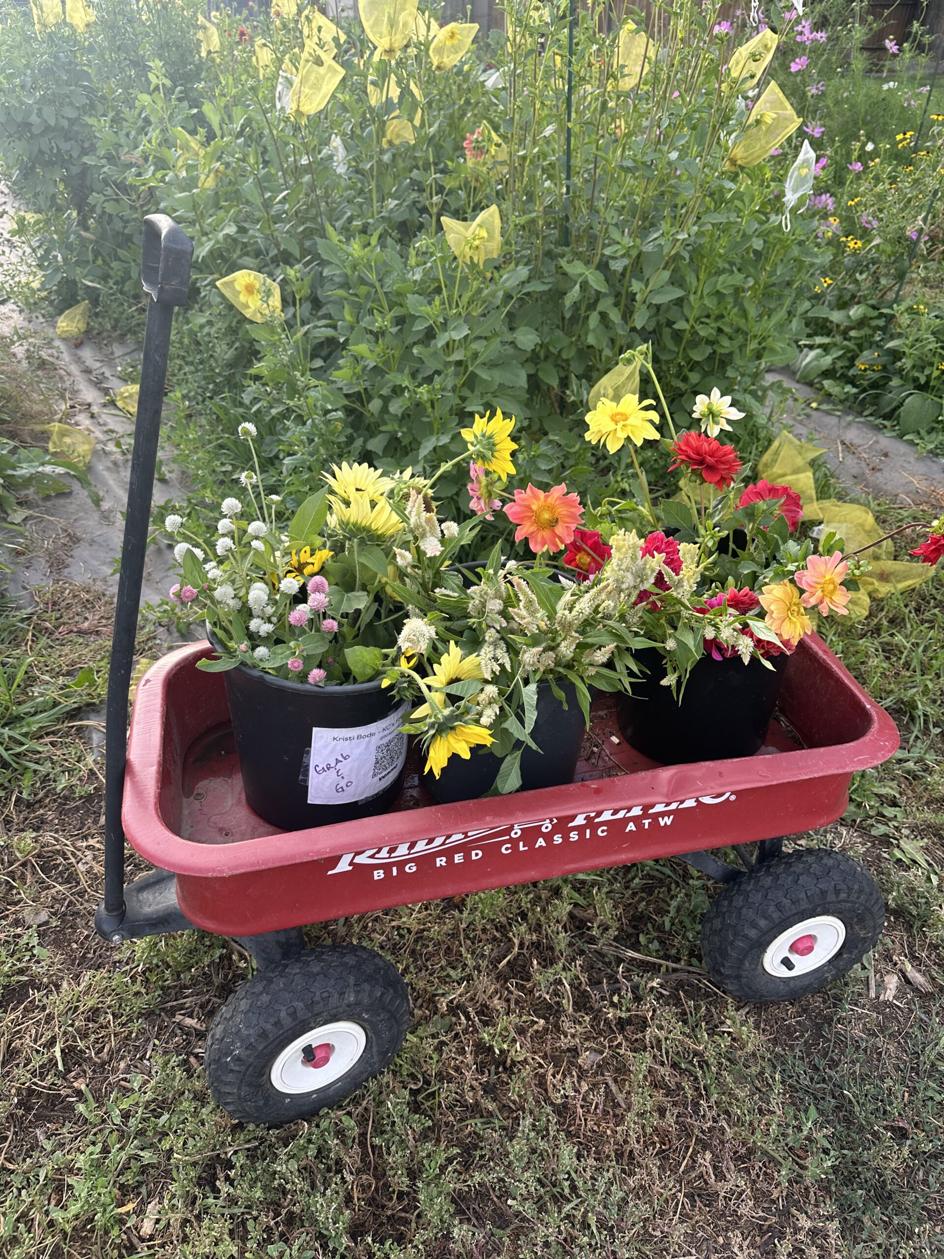 Bucket of Flowers -DIY Projects (June-October)