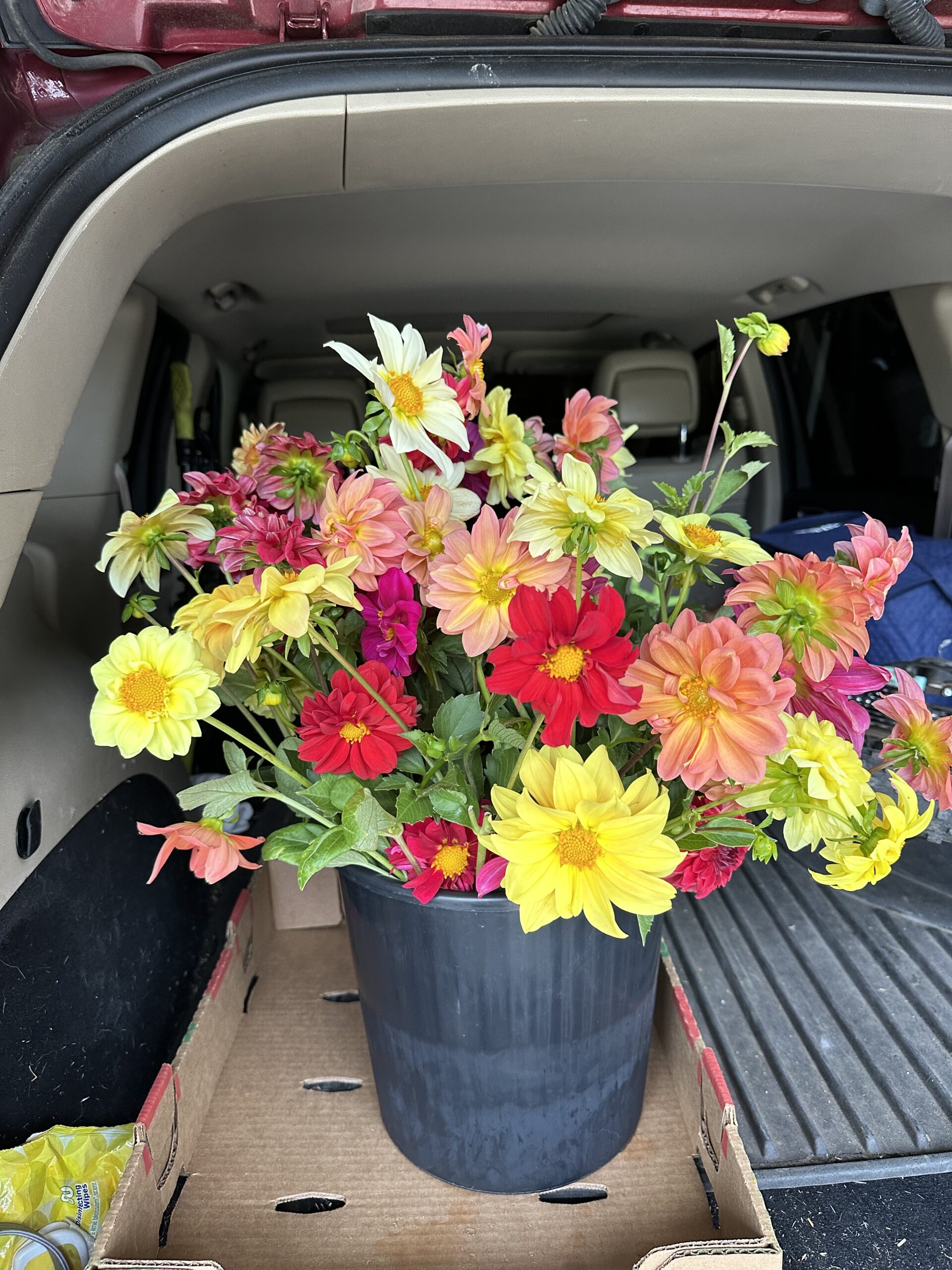 Bucket of Flowers -DIY Projects (June-October)