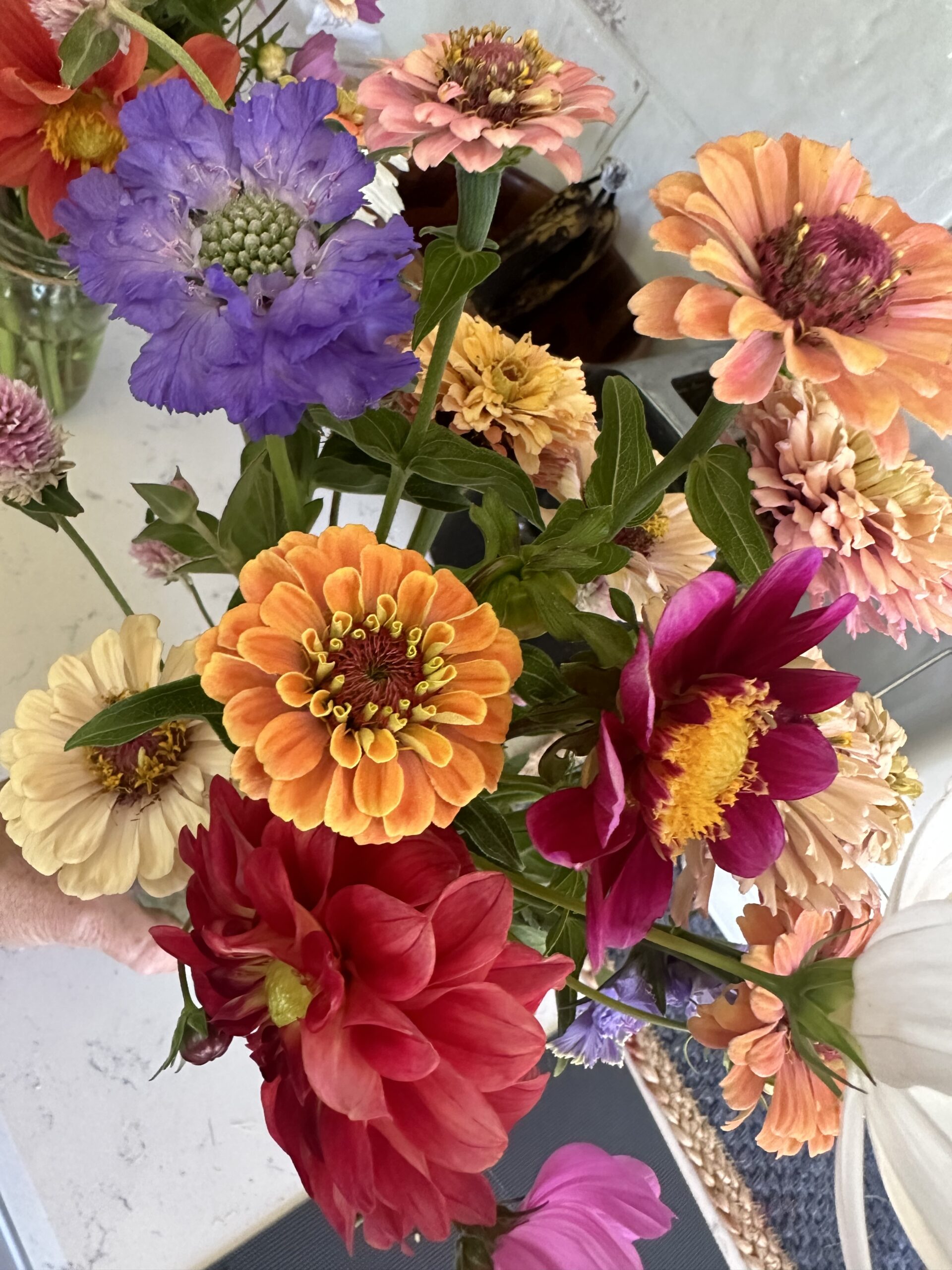 6 Week Summer Flower Club –  CSA Subscription Begins in July