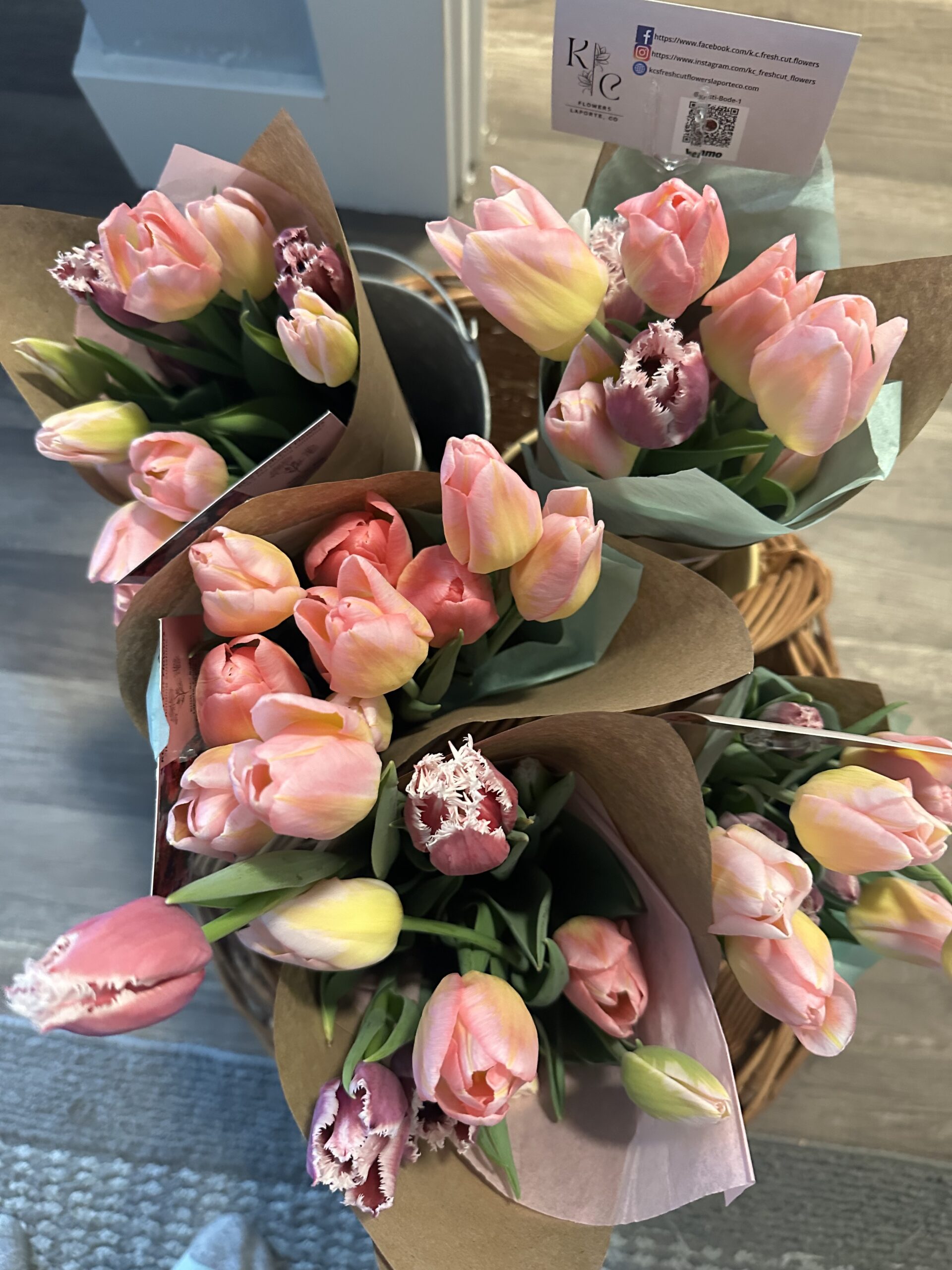 Wrapped Tulip Bunch (10 Stems per bunch)