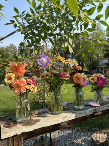 4 Week Summer Flower Club –  CSA Subscription begins in July